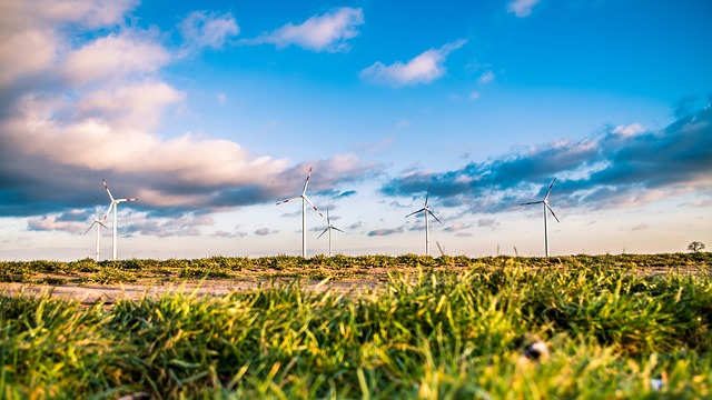 Recent monthly energy review reveals that renewable energy is increasingly contributing to US energy production and consumption